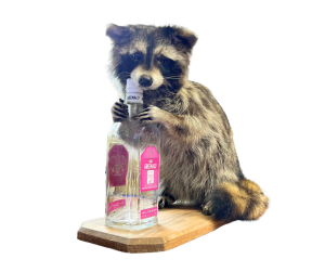 Erling Haaland Raccoon Taxidermy Vodka Bottle Decanter