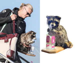 Erling Haaland Raccoon Taxidermy Vodka Bottle Decanter